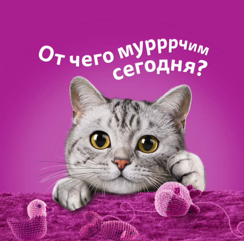 https://storage.alifshop.tj/media/images/alifshop/62909/vlazhnyy-polnoracionnyy-korm-whiskas-dlya-vzroslyh-koshek-i-kotov-ragu-s-govyadinoy-i-yagnenkom-75-g-1785175779028-52lizTEC.png