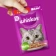 https://storage.alifshop.tj/media/images/alifshop/62911/vlazhnyy-polnoracionnyy-korm-whiskas-dlya-vzroslyh-koshek-i-kotov-zhele-s-govyadinoy-i-yagnenkom-75-g-1785176101137-wTpJxA3Q-xs.webp