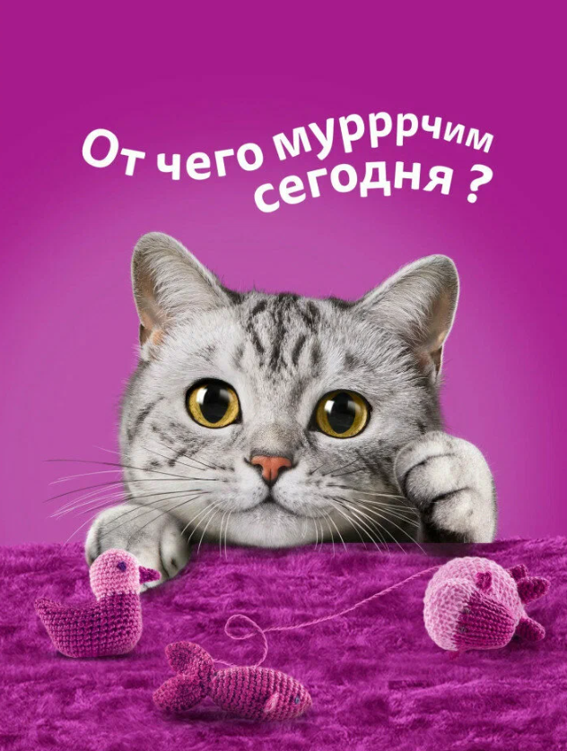 https://storage.alifshop.tj/media/images/alifshop/62918/vlazhnyy-polnoracionnyy-korm-whiskas-dlya-vzroslyh-koshek-i-kotov-ragu-s-telyatinoy-75-g-1785177503326-KrdsUyTM.png