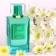https://storage.alifshop.tj/media/images/alifshop/62921/duhi-naseem-tasneem-aqua-perfume-80-ml-copy-1785212438225-T3EcptJo-xs.webp