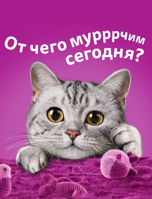 https://storage.alifshop.tj/media/images/alifshop/63102/vlazhnyy-polnoracionnyy-korm-whiskas-dlya-vzroslyh-koshek-i-kotov-ragu-s-telyatinoy-yagnenkom-i-ovoshchami-75-g-1785424443637-CqG7S3WE.png