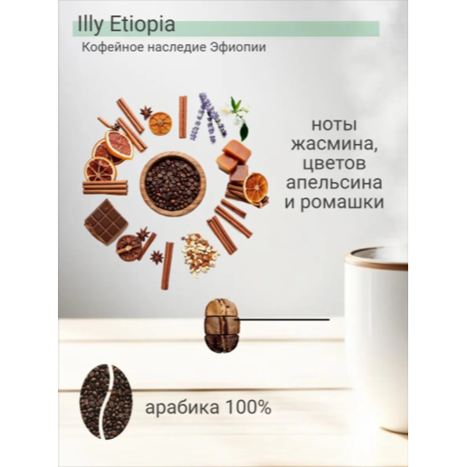 https://storage.alifshop.tj/media/images/alifshop/63465/kofe-molotyy-illy-arabica-selection-ethiopia-125-g-1786178300166-5WZUZleK.png