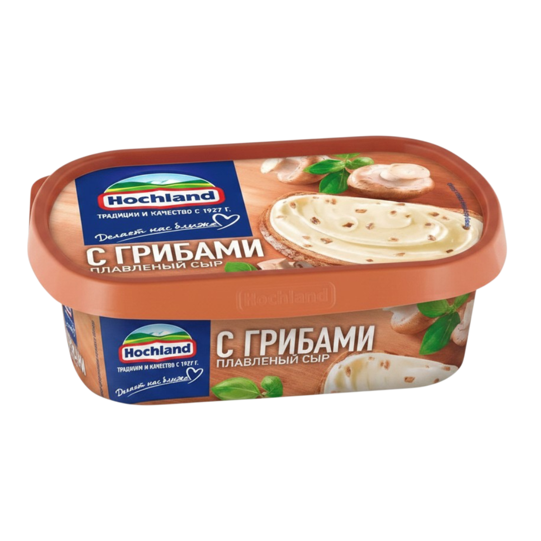 https://storage.alifshop.tj/media/images/alifshop/63536/syr-plavlenyy-hochland-s-gribami-200-g-1786358184980-UH3ruStX.png