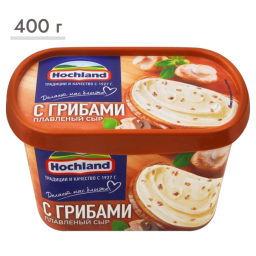 https://storage.alifshop.tj/media/images/alifshop/63539/syr-plavlenyy-hochland-s-gribami-400-g-1786358231788-b15VnIC6-xl.webp