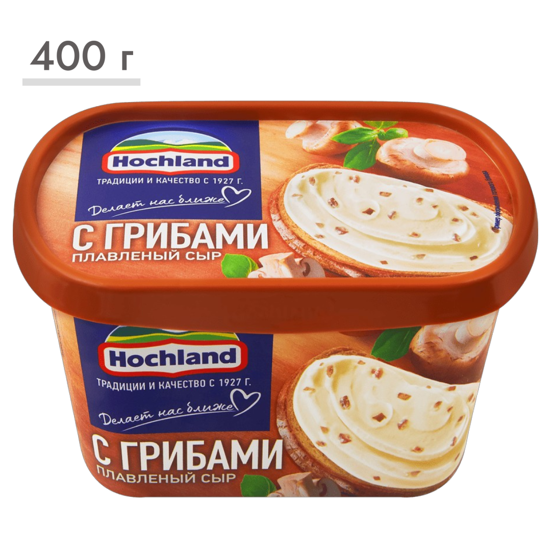 https://storage.alifshop.tj/media/images/alifshop/63539/syr-plavlenyy-hochland-s-gribami-400-g-1786358231788-b15VnIC6.png
