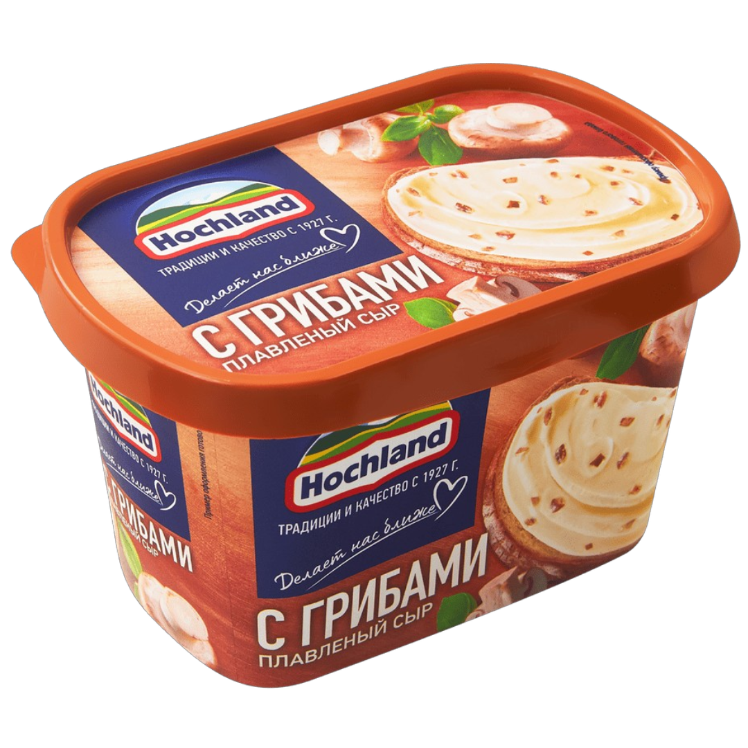https://storage.alifshop.tj/media/images/alifshop/63539/syr-plavlenyy-hochland-s-gribami-400-g-1786358231789-woKVkzKo.png