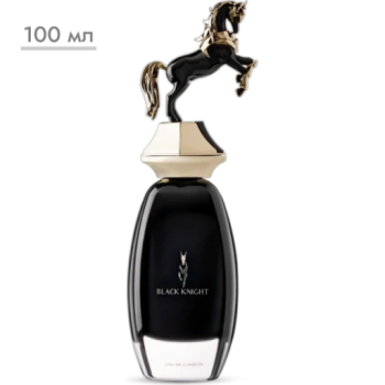 Духи Chase Fragrances Black Knight, 100 мл