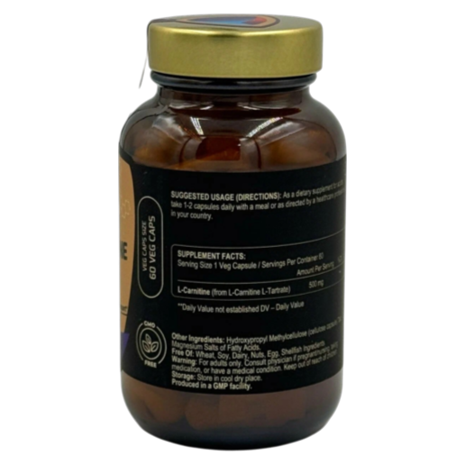 https://storage.alifshop.tj/media/images/alifshop/64700/l-karnitin-fuel-up-500-mg-60-kapsul-1787905073165-dPinxlCX.png