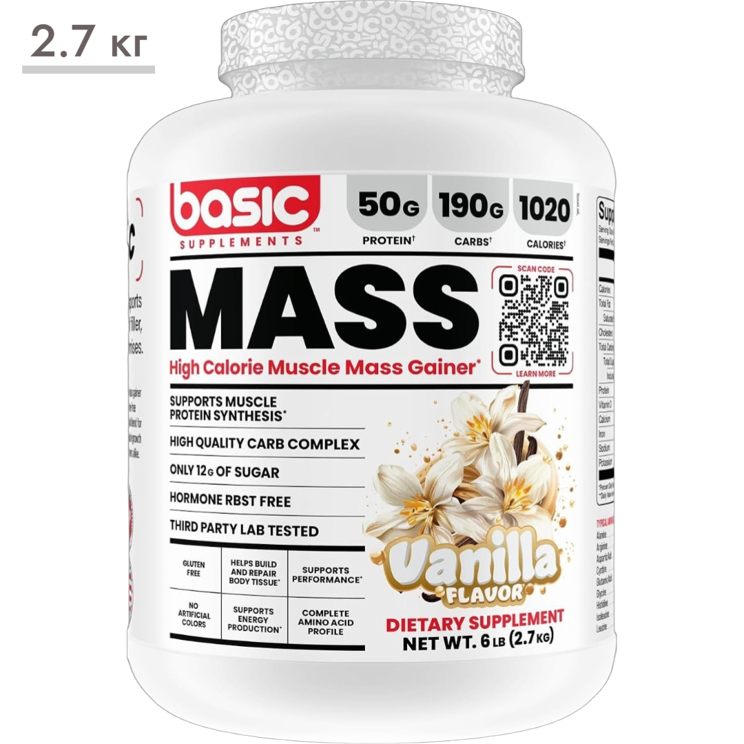 https://storage.alifshop.tj/media/images/alifshop/65343/geyner-basic-supplements-mass-vanil-2-72-kg-1788523099777-4fdsJ8yL.png