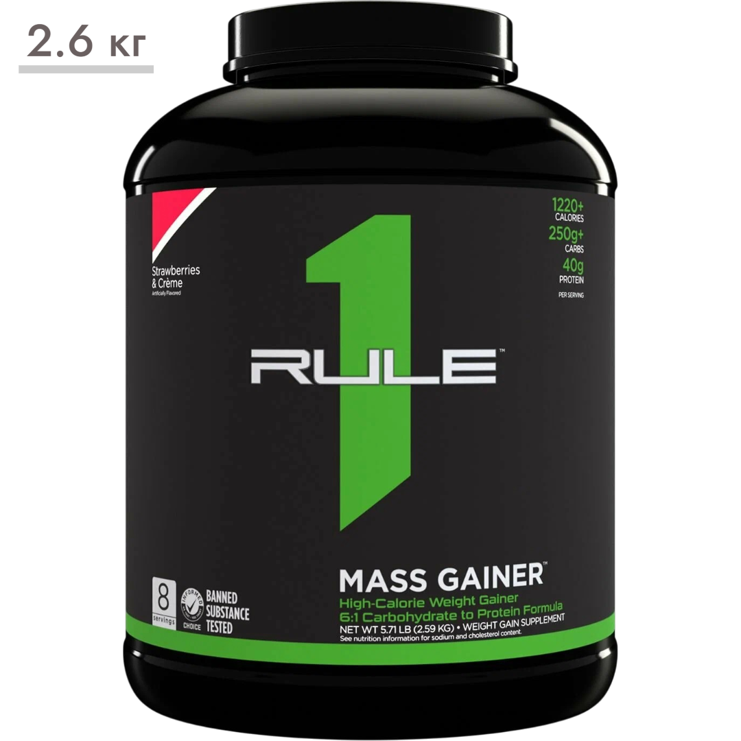 https://storage.alifshop.tj/media/images/alifshop/65366/geyner-rule-one-mass-gainer-klubnika-2-6-kg-1788525719070-ZGprYTBD.png