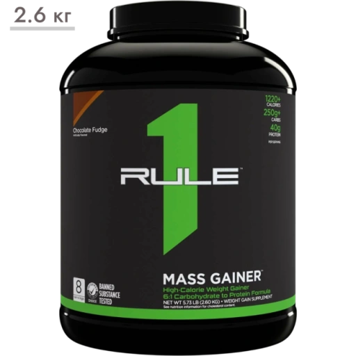 https://storage.alifshop.tj/media/images/alifshop/65368/geyner-rule-one-mass-gainer-shokoladnaya-pomadka-2-6-kg-1788526133680-2VACWw0Y-xl.webp