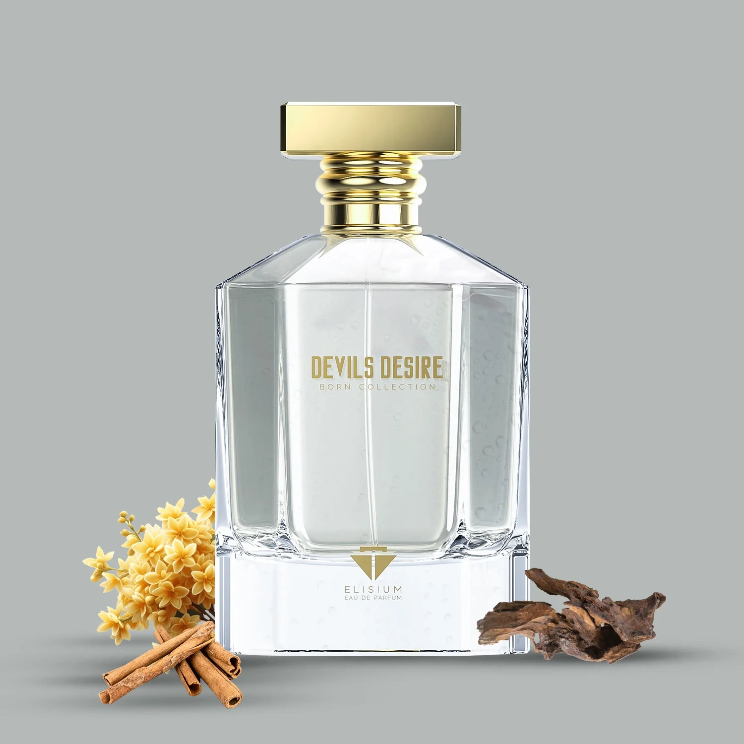 https://storage.alifshop.tj/media/images/alifshop/65400/parfyumernaya-voda-elisium-devils-desire-50-ml-1788764115968-uLf1oyaO.webp
