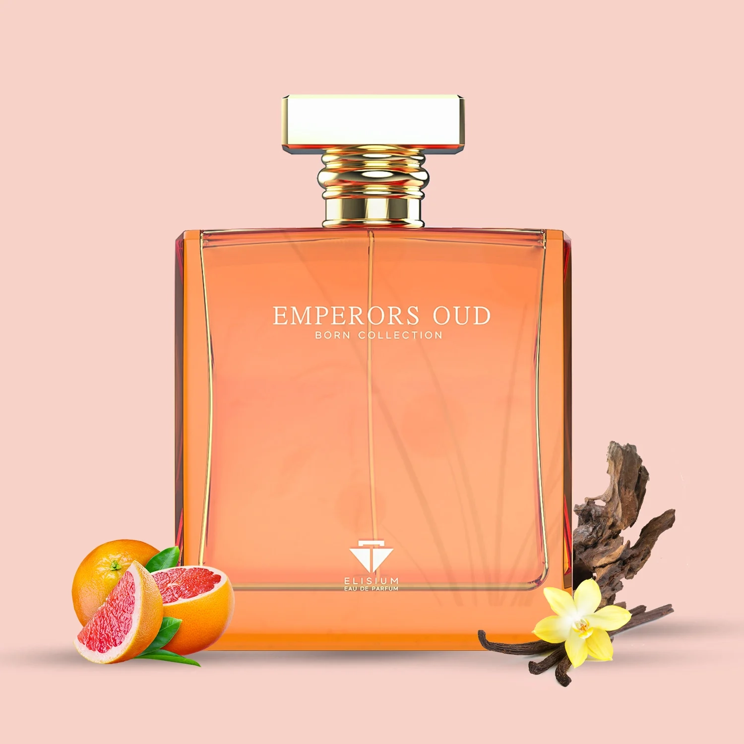 https://storage.alifshop.tj/media/images/alifshop/65424/parfyumernaya-voda-elisium-emperor-s-oud-50-ml-1788765962766-LhP4OR3b.webp