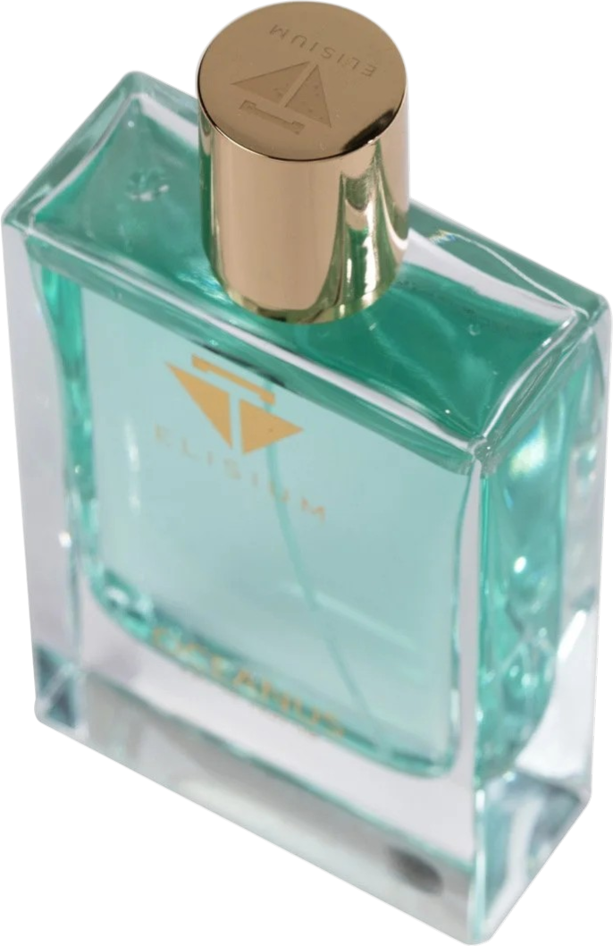 https://storage.alifshop.tj/media/images/alifshop/65558/parfyumernaya-voda-elisium-oceanus-88-ml-1788833801268-r1Eny5m5.png
