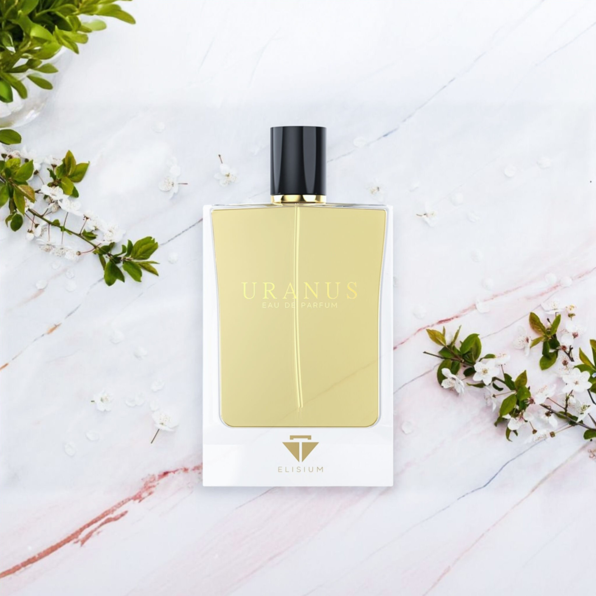 https://storage.alifshop.tj/media/images/alifshop/65559/parfyumernaya-voda-elisium-uranus-80-ml-1788837201670-lPf0BkAv.png