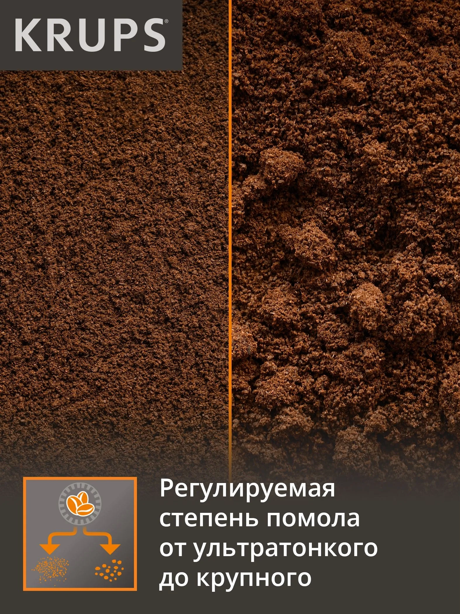 https://storage.alifshop.tj/media/images/alifshop/66284/kofemolka-krups-gx204d10-serebristyy-1789706399776-3EsPhlX4.webp