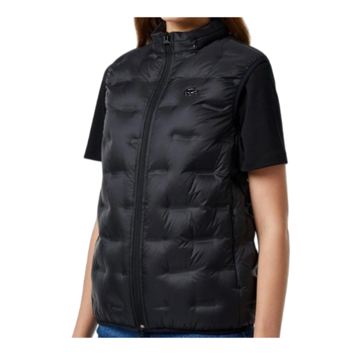 https://storage.alifshop.tj/media/images/alifshop/66645/zhilet-la-coste-bf2502-031-xs-chernyy-1789992835919-Mw5jL7nS-xl.webp