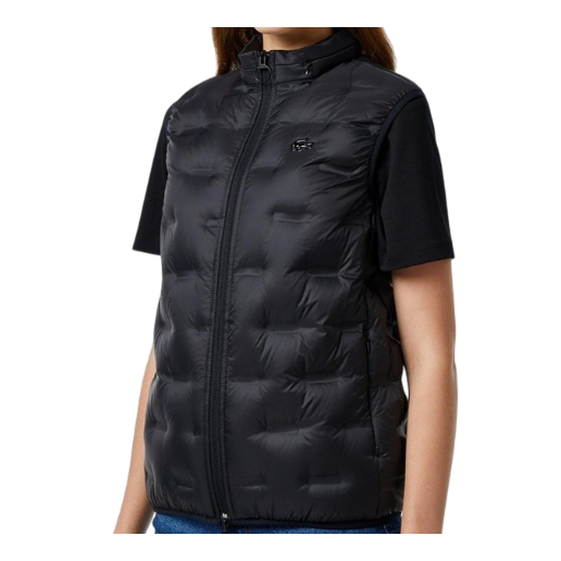 https://storage.alifshop.tj/media/images/alifshop/66672/zhilet-la-coste-bf2502-031-3xl-chernyy-1789993697413-eQCxm7fA.png