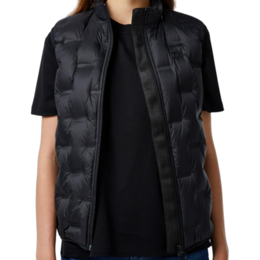 https://storage.alifshop.tj/media/images/alifshop/66673/zhilet-la-coste-bf2502-031-4xl-chernyy-1789993852318-HzgTpjAB.png