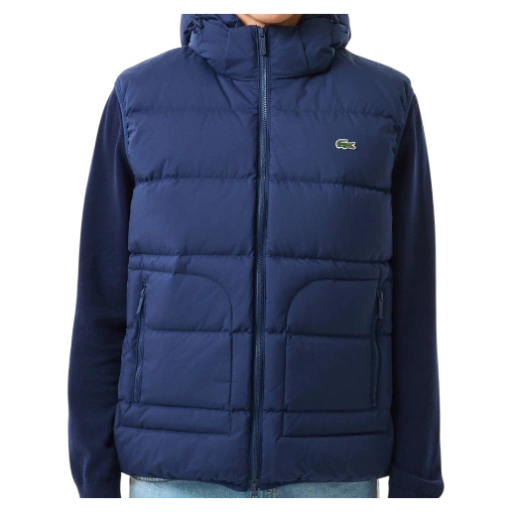 https://storage.alifshop.tj/media/images/alifshop/66951/zhilet-lacoste-bh2317-17l-4xl-temno-siniy-1790081533806-C00iTmbL-xl.webp