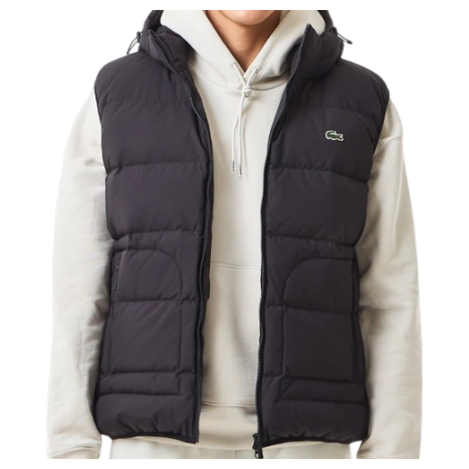 https://storage.alifshop.tj/media/images/alifshop/67047/zhilet-lacoste-bh2317-17s-l-chernyy-1790135694177-abDQoTah.png