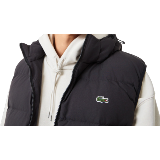https://storage.alifshop.tj/media/images/alifshop/67053/zhilet-lacoste-bh2317-17s-5xl-chernyy-1790136076887-Tf43VHPs.png