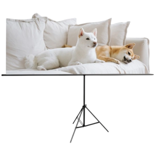 https://storage.alifshop.tj/media/images/alifshop/68786/proekcionnyy-ekran-deli-es903-chernyy-1790847034856-ygvWyuWT-xl.webp