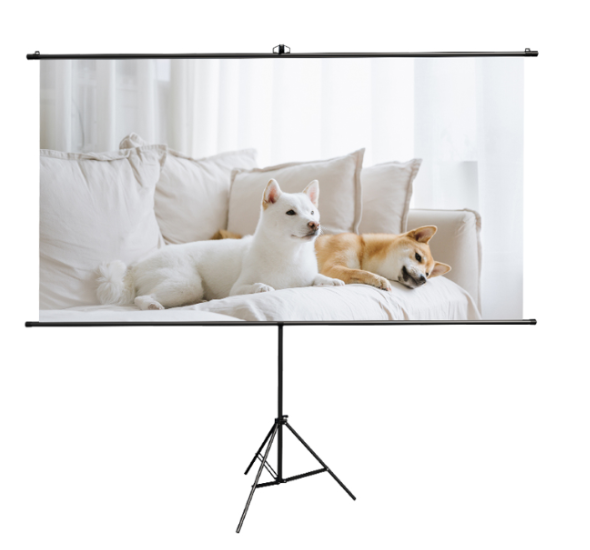 https://storage.alifshop.tj/media/images/alifshop/68786/proekcionnyy-ekran-deli-es903-chernyy-1790847052438-umMl2i3T.png