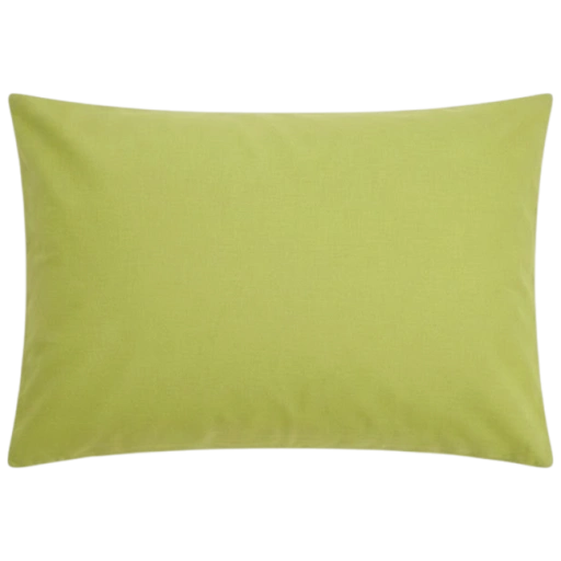 https://storage.alifshop.tj/media/images/alifshop/69783/podushka-jysk-multi-440g-50x70-sm-salatovyy-1791885888788-MAs4D3M1-xl.webp
