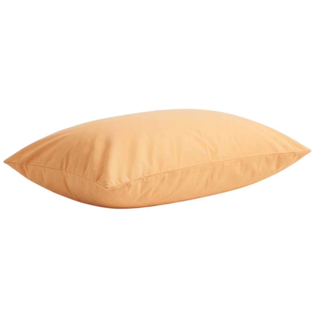 https://storage.alifshop.tj/media/images/alifshop/69784/podushka-jysk-multi-440g-50x70-sm-oranzhevyy-1791886320776-wy7v9CXb.png