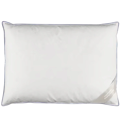https://storage.alifshop.tj/media/images/alifshop/69854/podushka-jysk-galdeberget-750-g-50x70-75-sm-svetlo-seryy-1791954827489-DQ74KEte-xl.webp