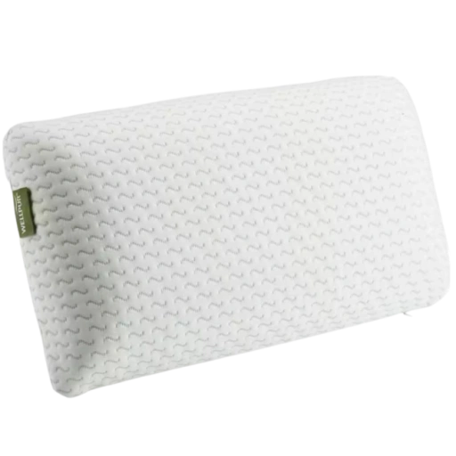 https://storage.alifshop.tj/media/images/alifshop/69930/podushka-jysk-wellpur-fossan-24x42x12sm-belyy-1791979109100-xn8XNdgu-xl.webp