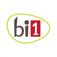 B1 Online